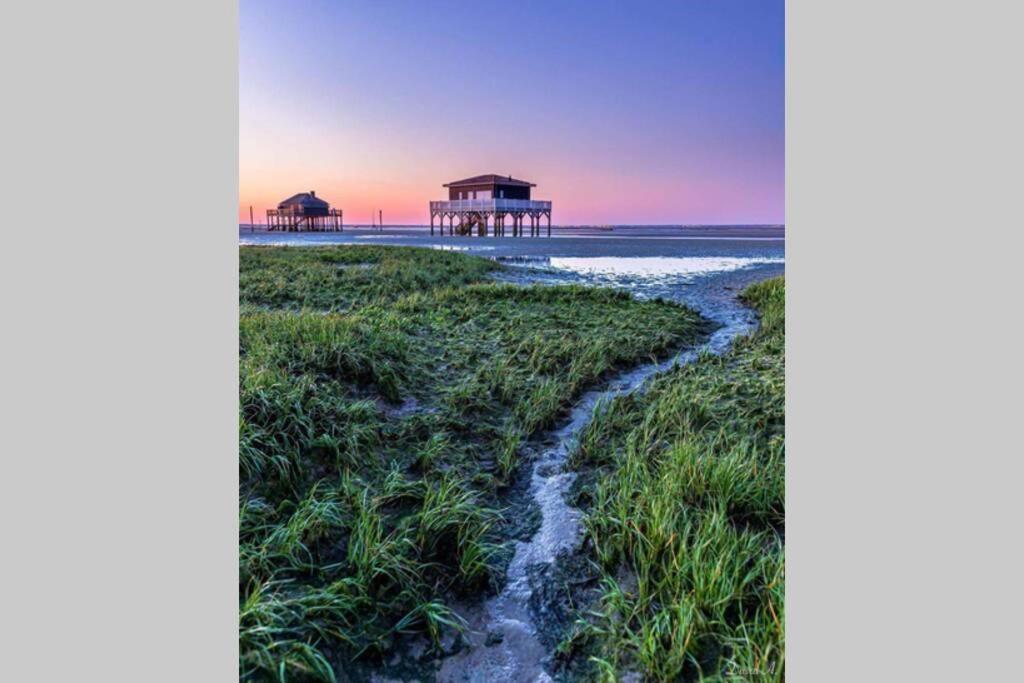 Colibri Appart' T2 Au Coeur Du Bassin D'Arcachon กูฌ็อง-เมสทราส ภายนอก รูปภาพ