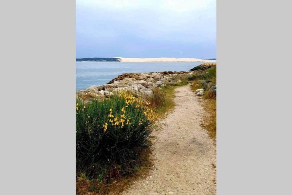Colibri Appart' T2 Au Coeur Du Bassin D'Arcachon กูฌ็อง-เมสทราส ภายนอก รูปภาพ