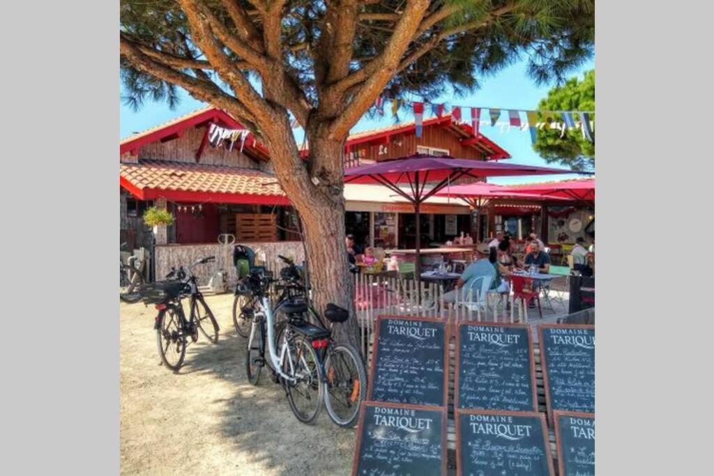 Colibri Appart' T2 Au Coeur Du Bassin D'Arcachon กูฌ็อง-เมสทราส ภายนอก รูปภาพ